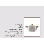 قابلمه تک نزاز NEZAZ استیل سایز 22 دسته چوب مدل چدن کد 1022