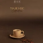 فنجان قهوه 80میلی لیتر تک بی وی کی Majestic BVK کد VK452712