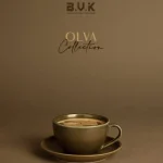 فنجان لته 300میلی لیتر تک بی وی کی Olva کد VK455214